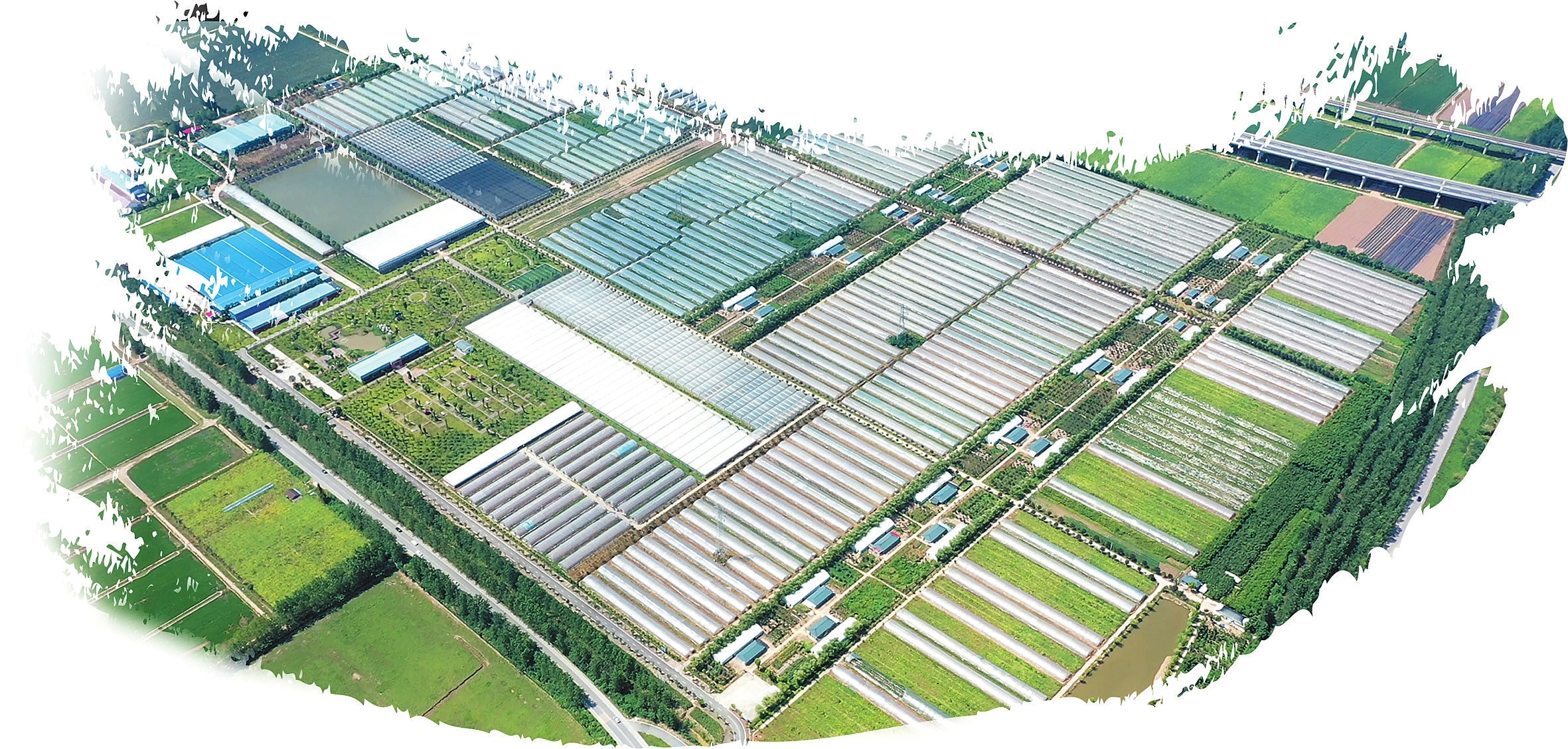 君山蔬菜科技园集中连片建设高标准智能温室、联动大棚等设施。