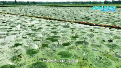 短视频沿河行12期 (1).gif