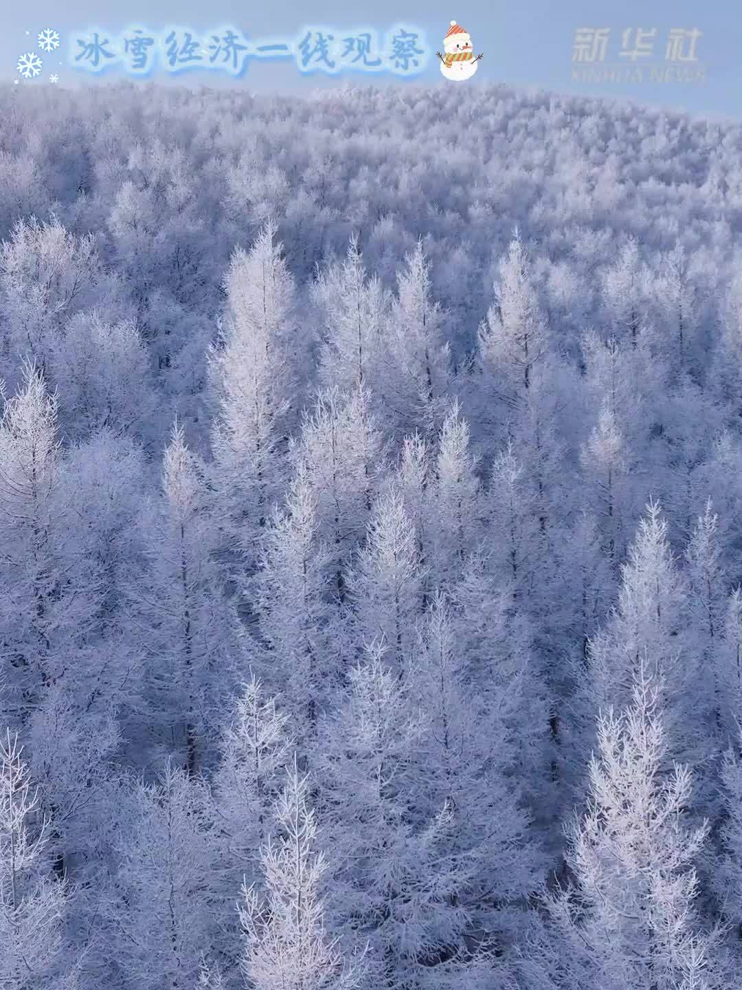 冰雪经济一线观察｜“冰雪+”业态助力冰雪经济持续升温