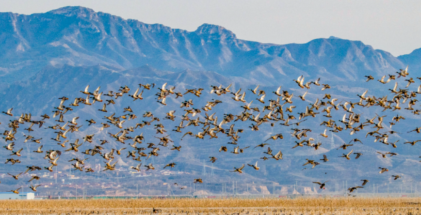 张家口怀来：立足枢纽定位激活京津冀协同新动能