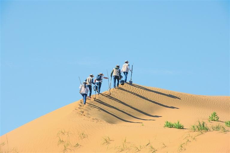 甘肃省治沙研究所干部职工在古浪县开展治沙工作