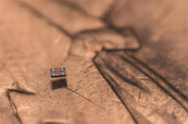 全球最小全自主可编程机器人诞生：接近细菌尺度 成本仅1美分
