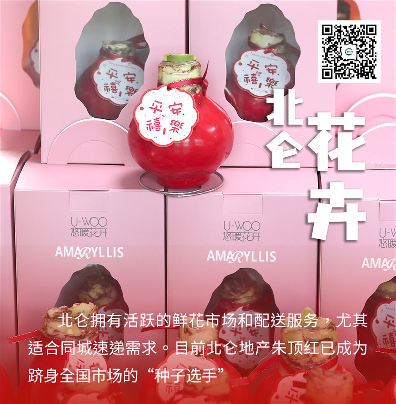 倒计时 7 天丨申请出战！十大区县明星产品亮相农博会