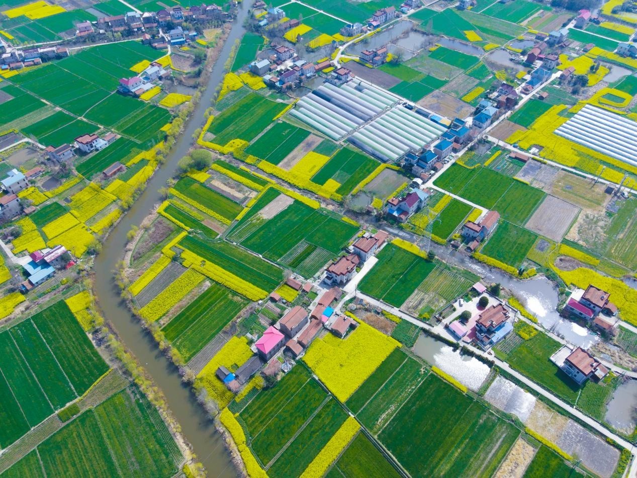 图片来源:南通市委宣传部