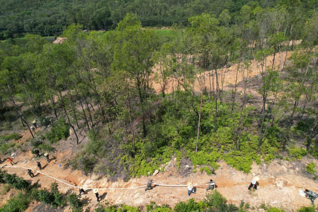 备战！乐平镇护林员竞赛竞技能、演练筑防线，为森林特别防护期“蓄力”