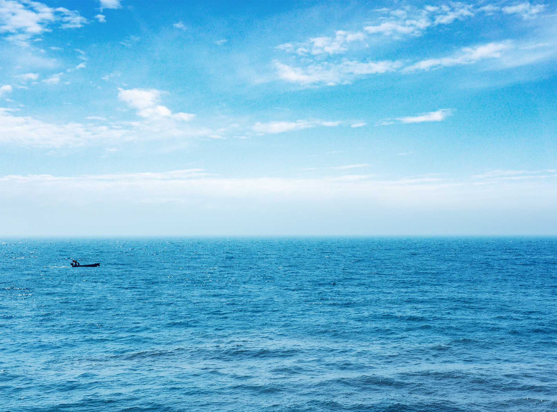 凝聚多方力量 西海岸新区开展海洋科普公益保护活动