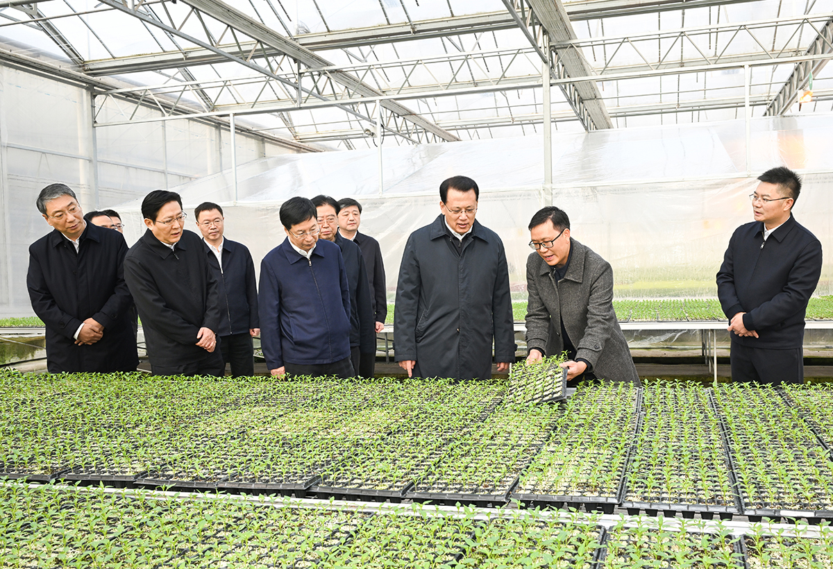 ▲12月17日上午,市委书记袁家军,市委副书记、市长胡衡华在北碚区兴隆镇重庆嘉卉艺禾智慧种苗工厂调研。记者 苏思 摄/视觉重庆