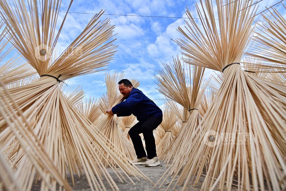 2025年12月16日，江西省宜春市万载县仙源乡仙源村村民在晾晒加工好的竹丝。