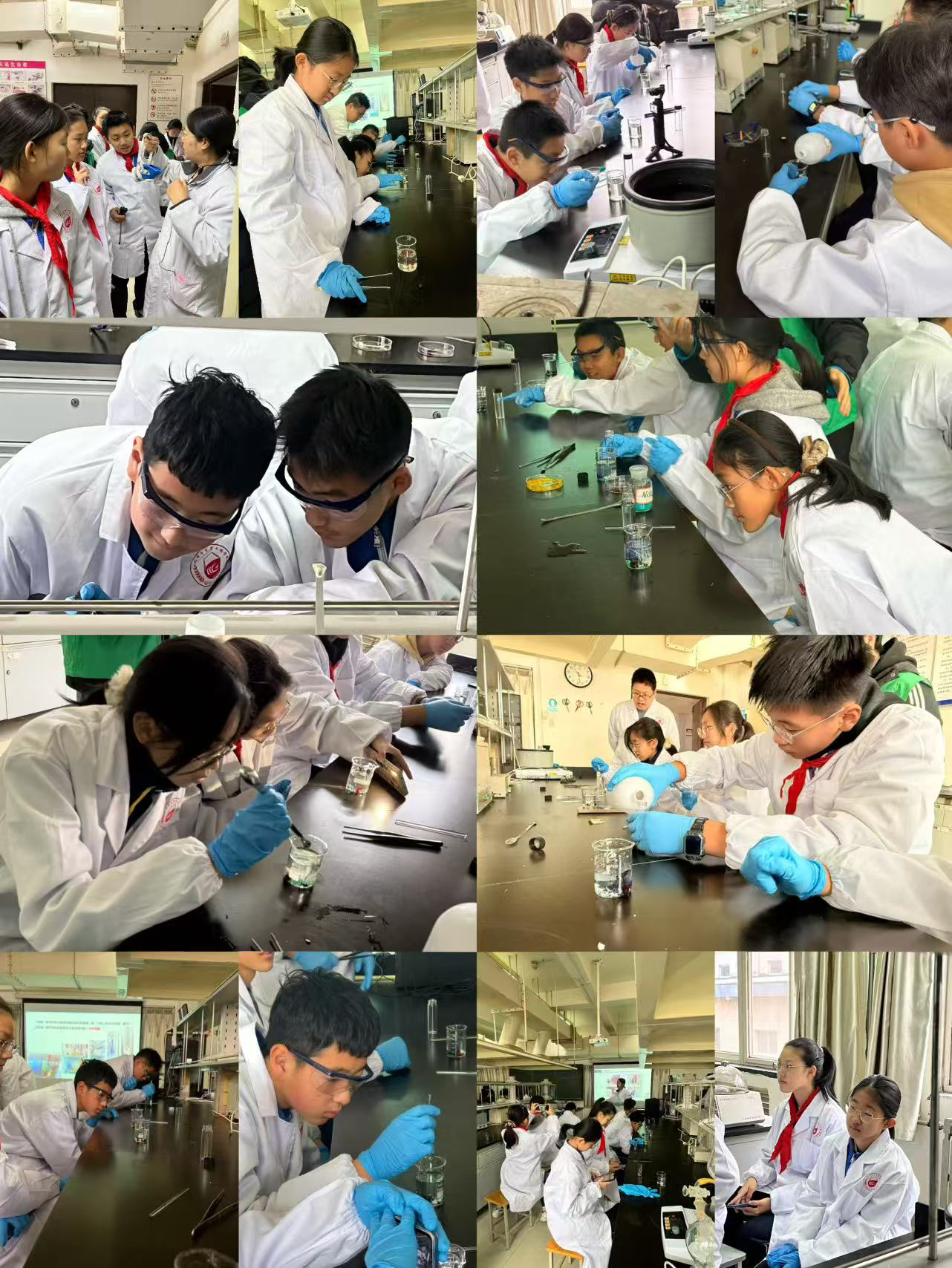 (每位同学们专注的做实验)