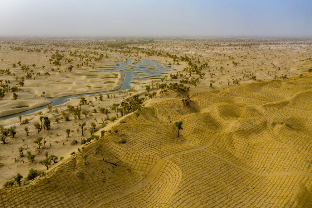 这是2025年9月19日在新疆巴音郭楞蒙古自治州尉犁县拍摄的塔里木河、野生胡杨和草方格（无人机照片）。