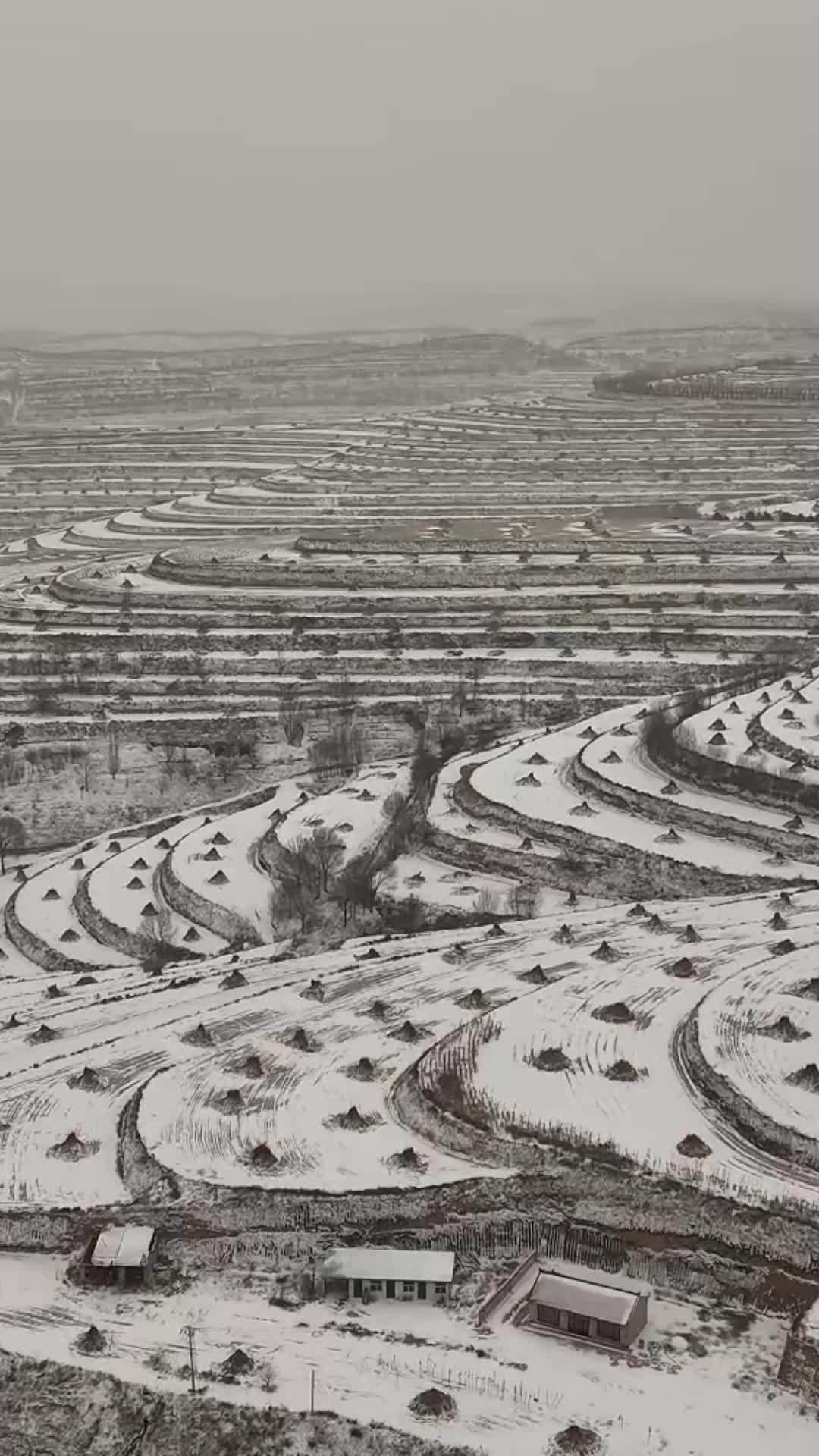 宁夏彭阳：山城雪景如画