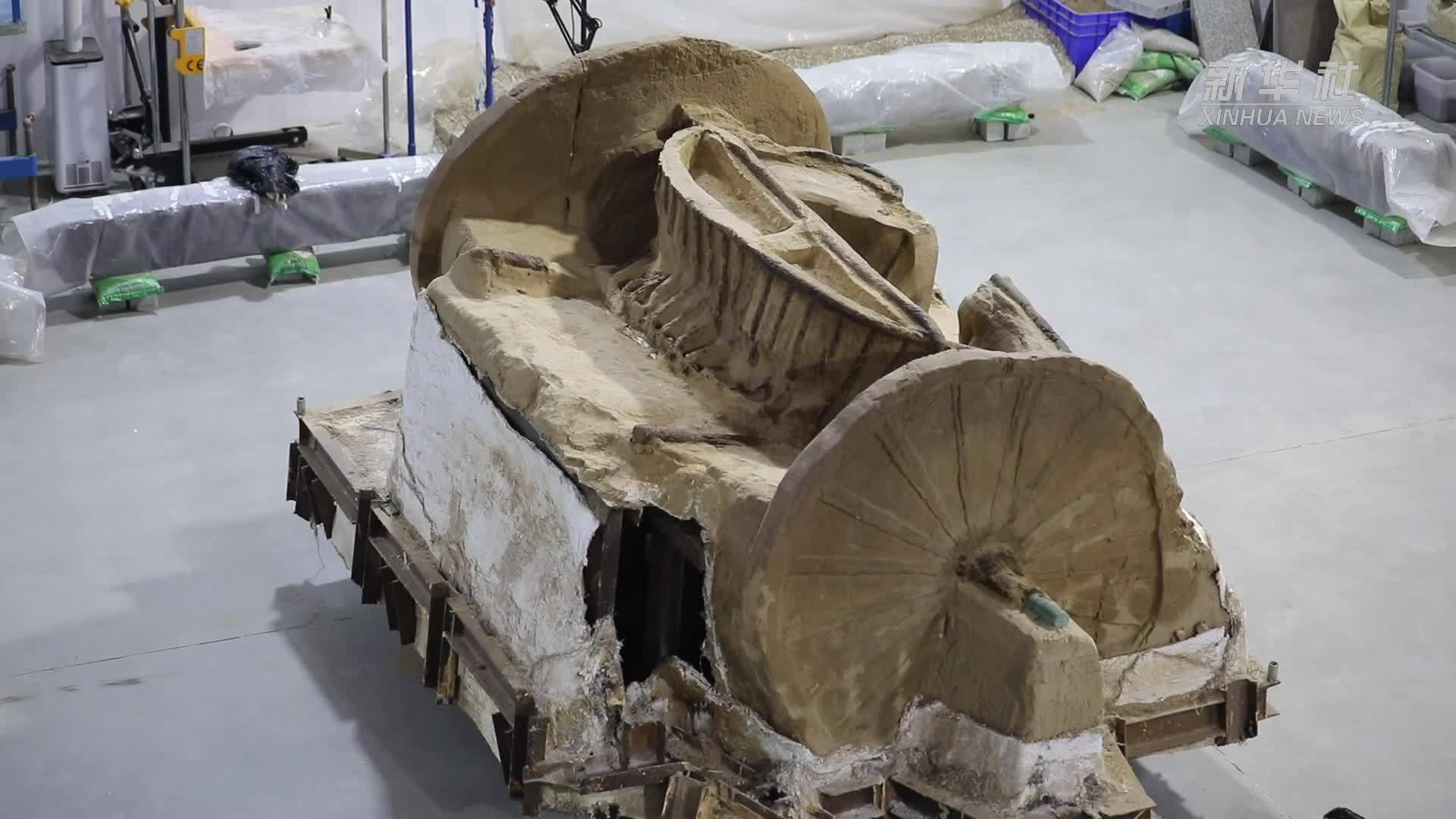 这是我国目前发现年代最早的双辕车实物