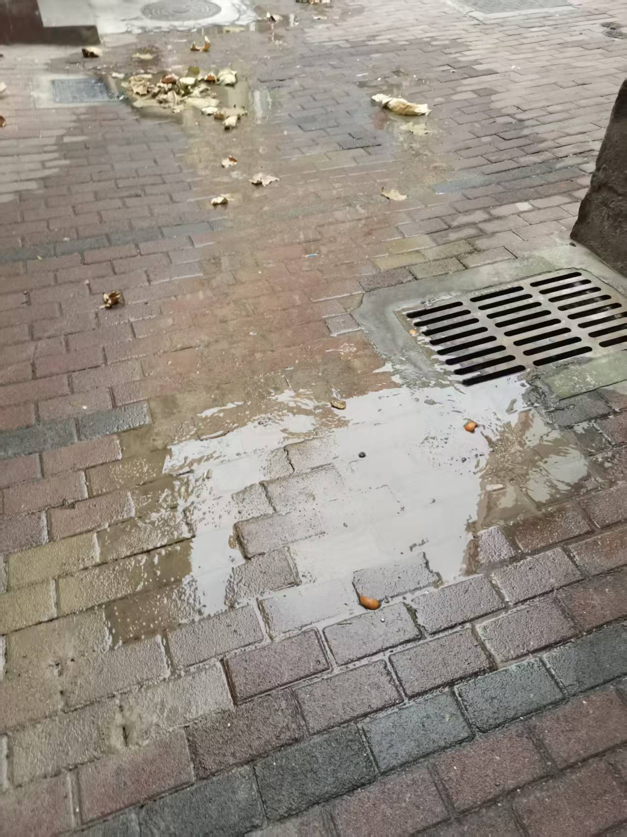 暖心台东 | 极速响应!台东街道高效办结水管爆裂抢修民生事