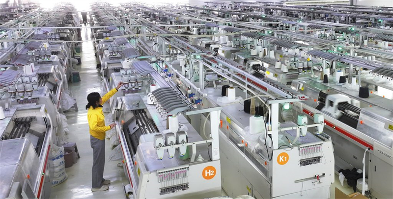 11月25日,在清河国际羊绒高端针织产业园数字化共享工厂,工人利用全自动电脑针织横机生产羊绒服饰产品。