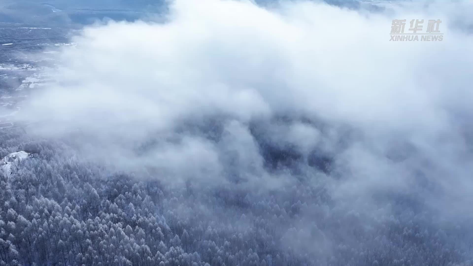 千城胜景｜“中国冷极”根河市：雾凇美景邀你赴约