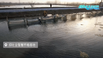短视频沿河行.gif