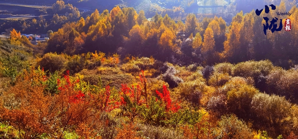 甘肃临夏斑斓冬色迷人