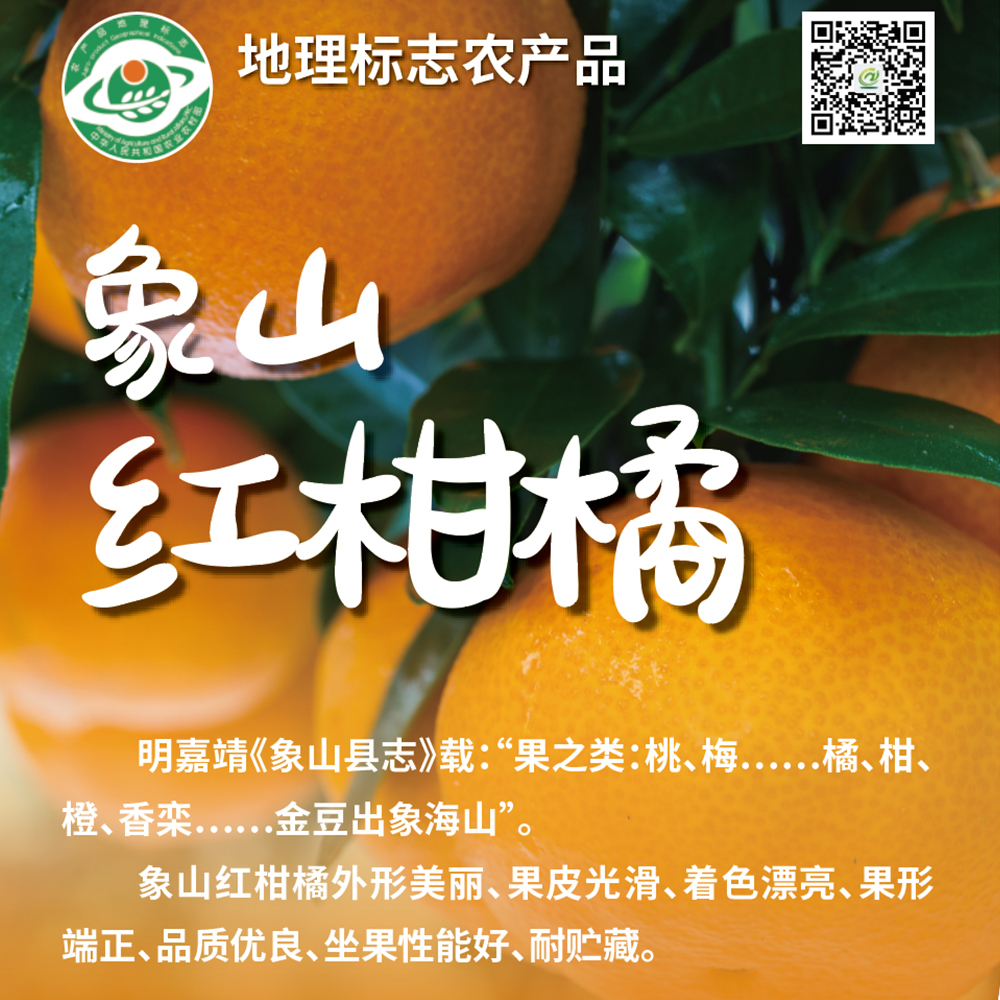 倒计时 7 天丨申请出战！十大区县明星产品亮相农博会