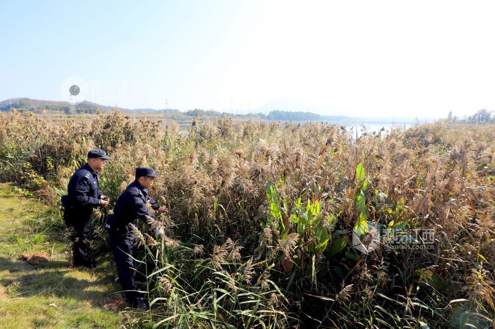 2025年12月15日，在江西省分宜县介溪湿地公园，分宜县公安局组织民警开展巡逻防护，守护候鸟栖息地安全。