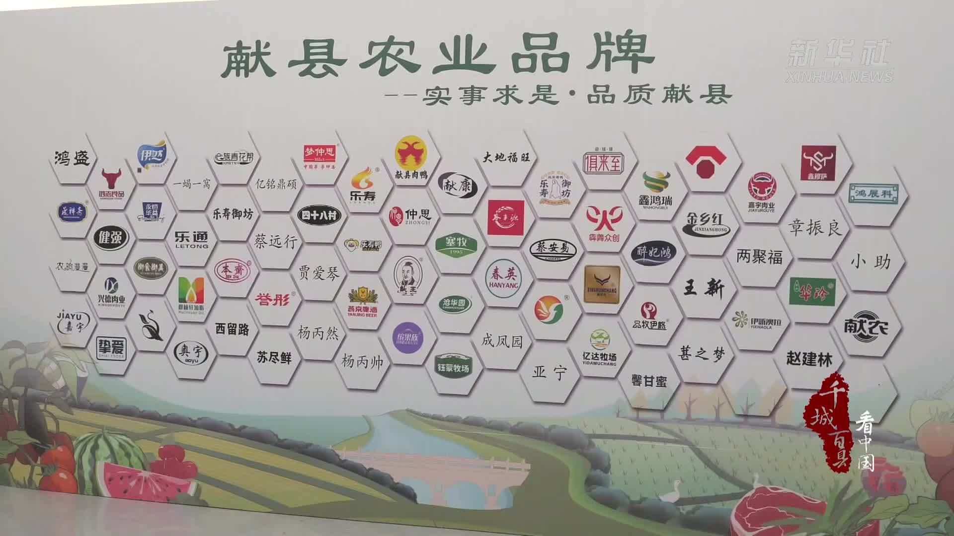 千城百县看中国｜河北献县：农产品直达首都市民餐桌