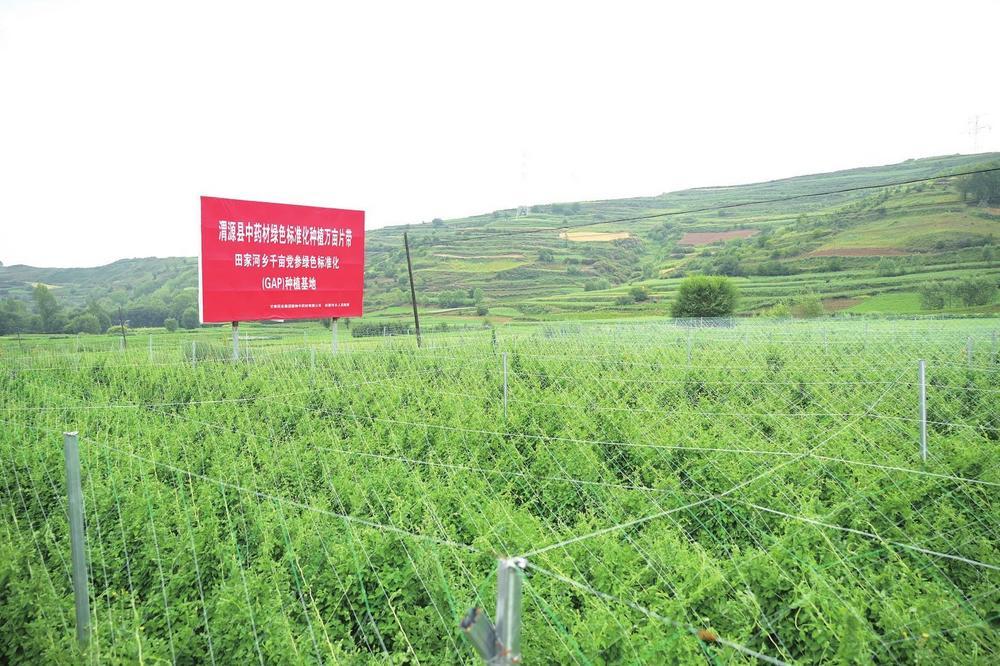 甘肃药业集团中药材种植基地