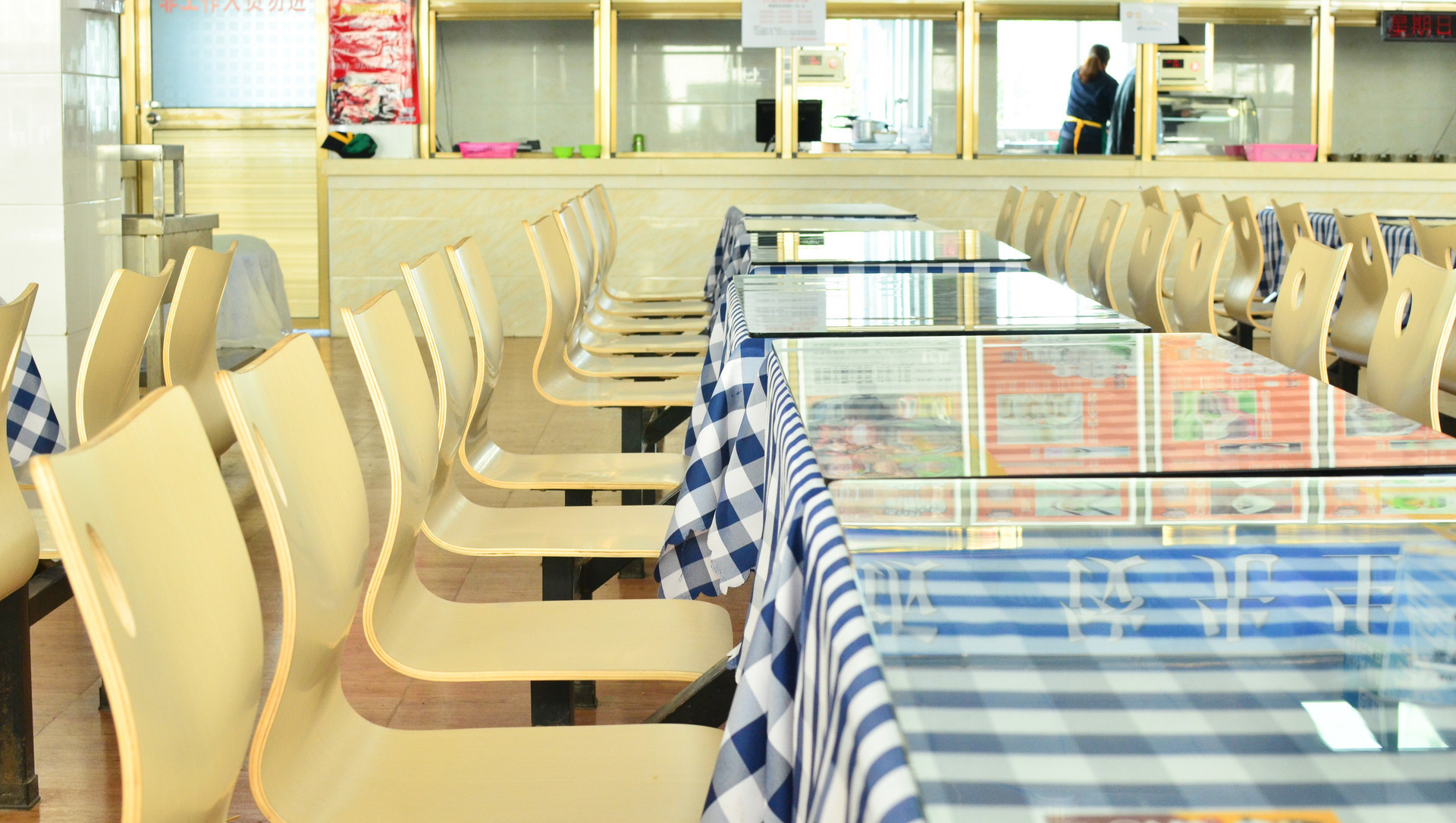 搭建多方联动平台 市南区“校园餐”联盟共建启动