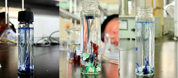 (科普实验成果展示)