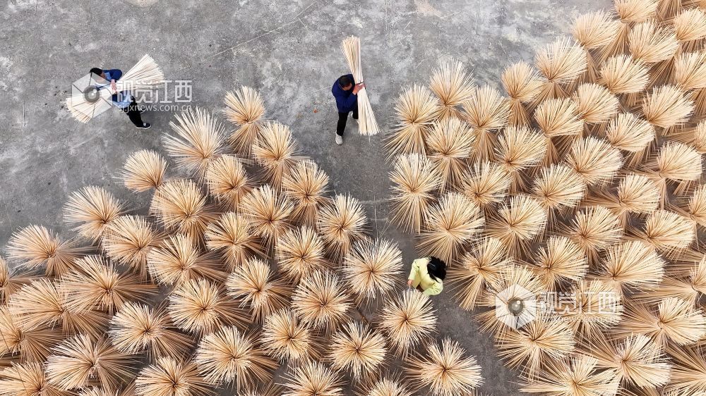 2025年12月16日，江西省宜春市万载县仙源乡统战信息员在仙源村帮助企业晾晒加工好的竹丝。