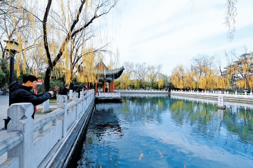 一年四季 泉在济南｜杨柳轻垂、锦鲤欢游 冬日珍珠泉美如画卷