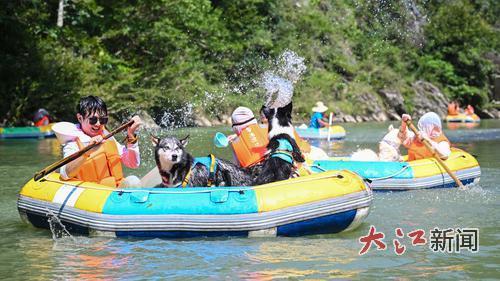 游客带着萌宠一起体验漂流的乐趣 大江网视觉江西张翰林摄