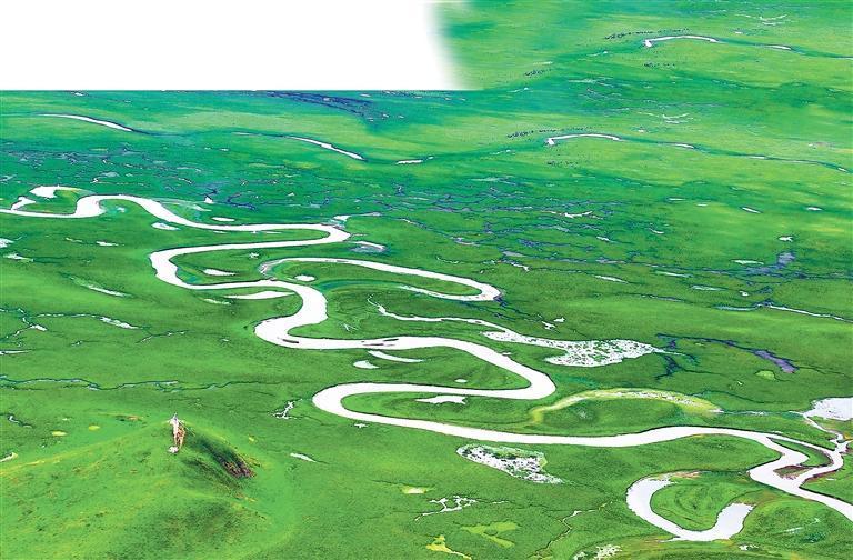 玛曲县阿万仓湿地　新甘肃&middot;甘肃日报记者　田蹊