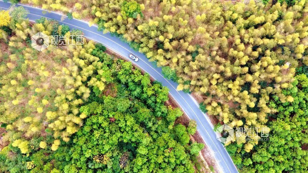 车辆行驶在江西省吉安市峡江县罗田镇乡村公路上(宋靖辉 摄)