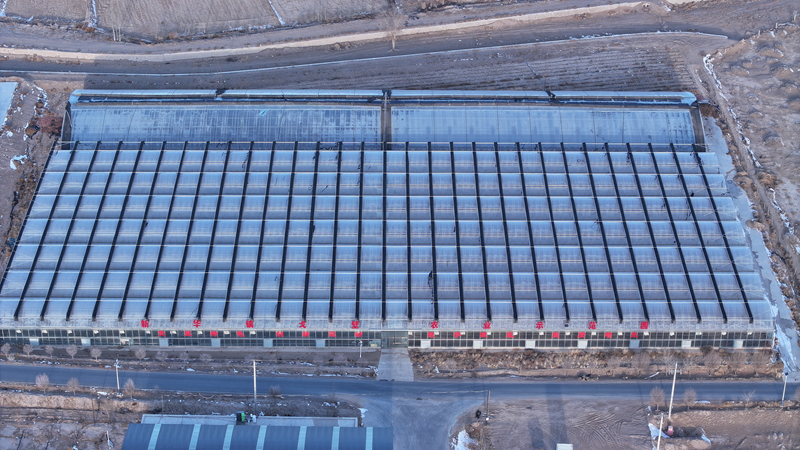 35载田间地头传经送技　甘肃临泽兴农人带乡亲走致富路