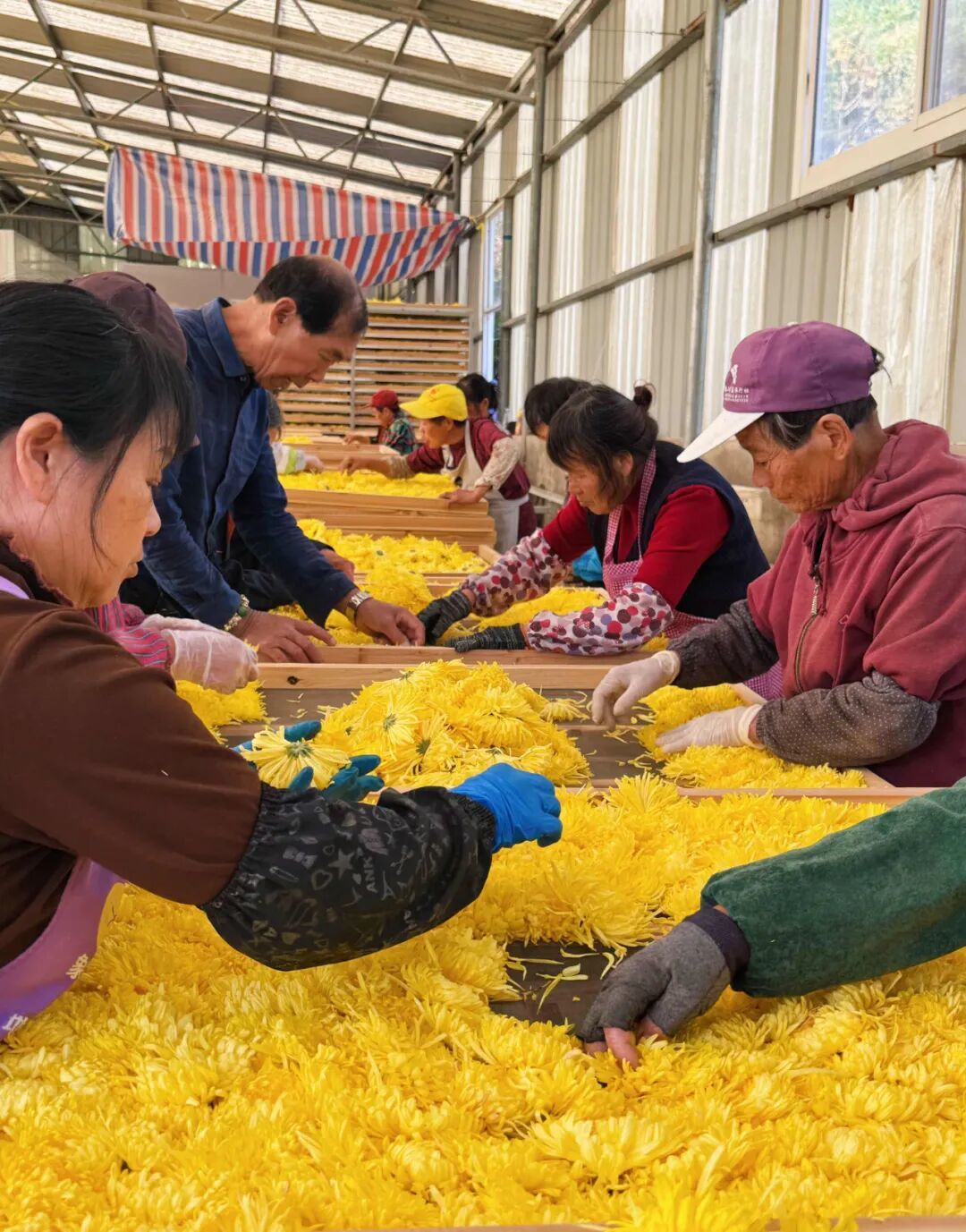 象山的温暖，藏在这些镜头里