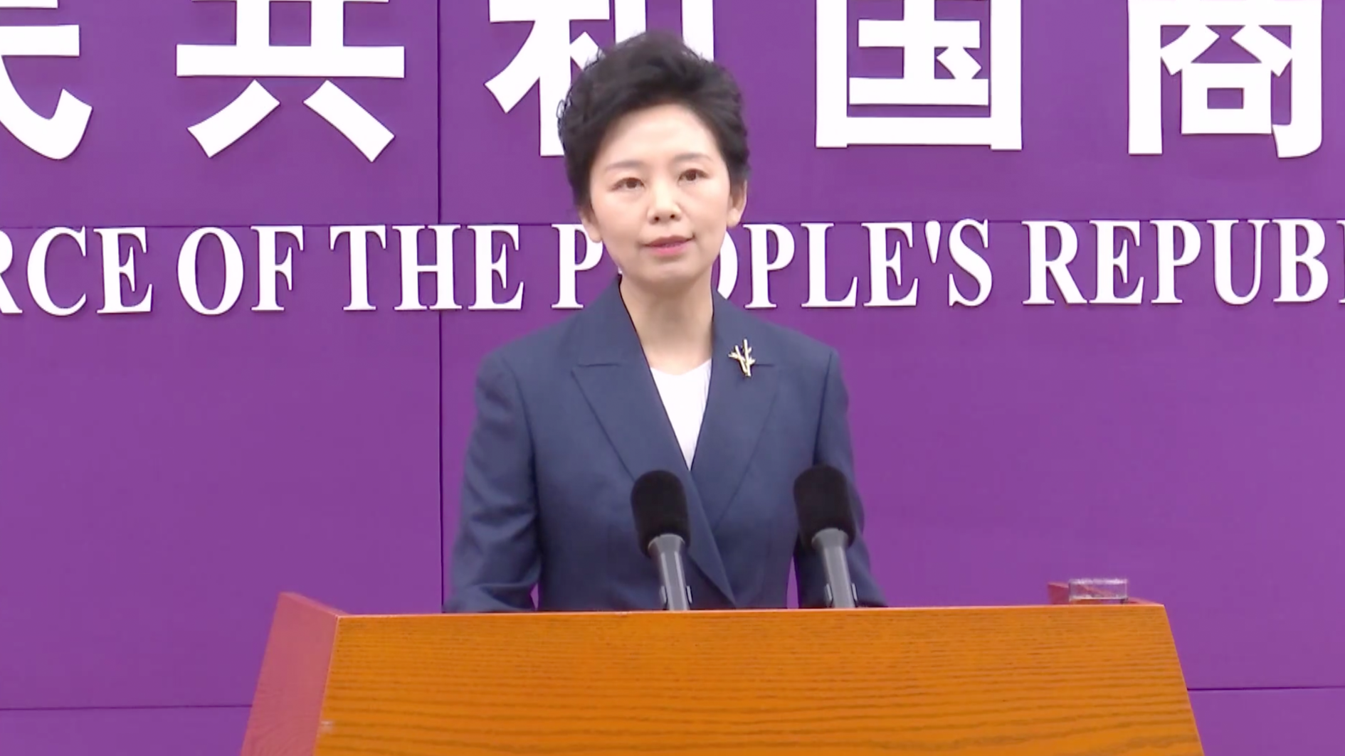 中国商务部谈稀土出口：积极促进便利合规贸易