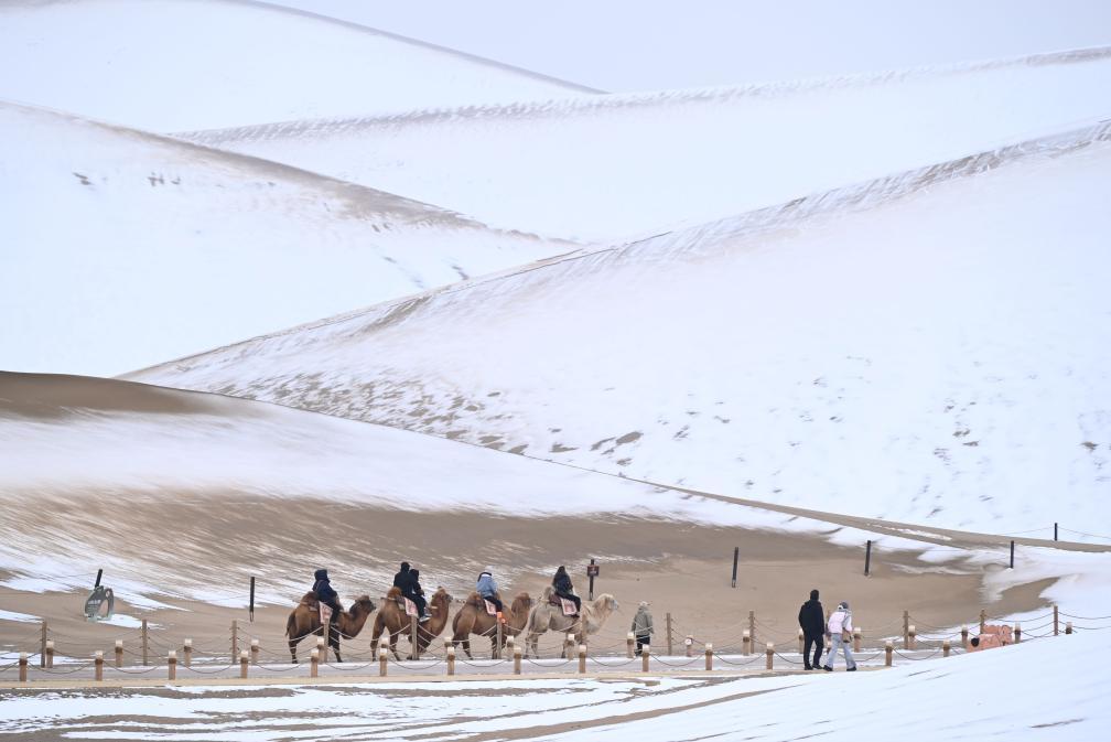 请查收!这份“冬日限定版敦煌”的正确打开方式