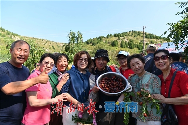 石匣村聚焦“生态种植+民宿露营”盘活万亩枣园