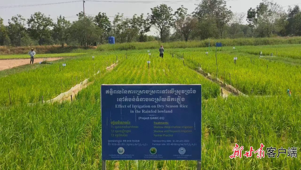 甘肃水科院与柬埔寨开展水稻节水灌溉联合研究