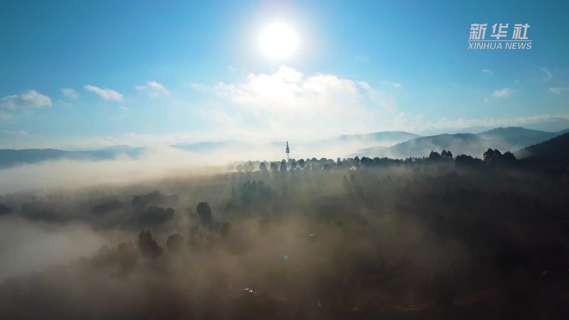 云南弥勒：太平湖森林公园成为冬日打卡新地标