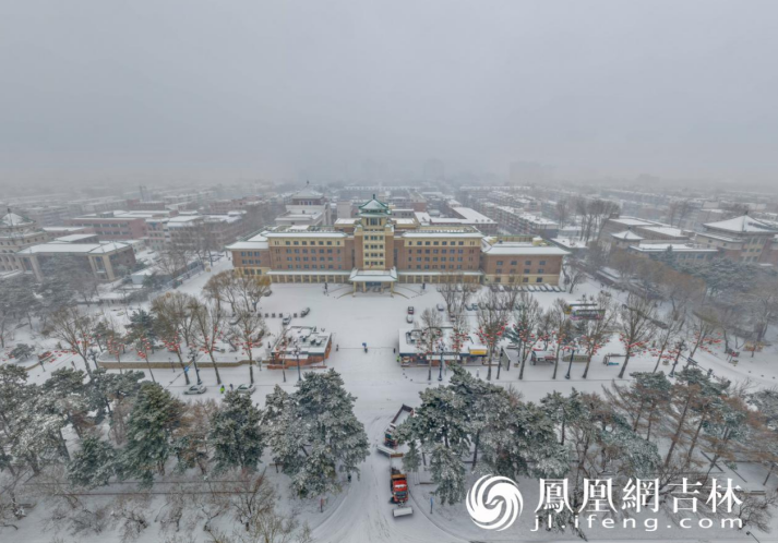 图集|琼芳忽落长春，满城尽白头