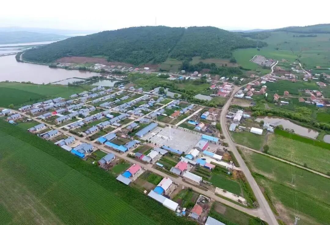 头雁领航 共富乡村 | 牡丹江致富能人的“兴农进行曲”