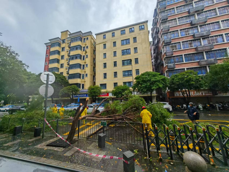 福田区沙头街道新洲社区网格员移走占道断枝