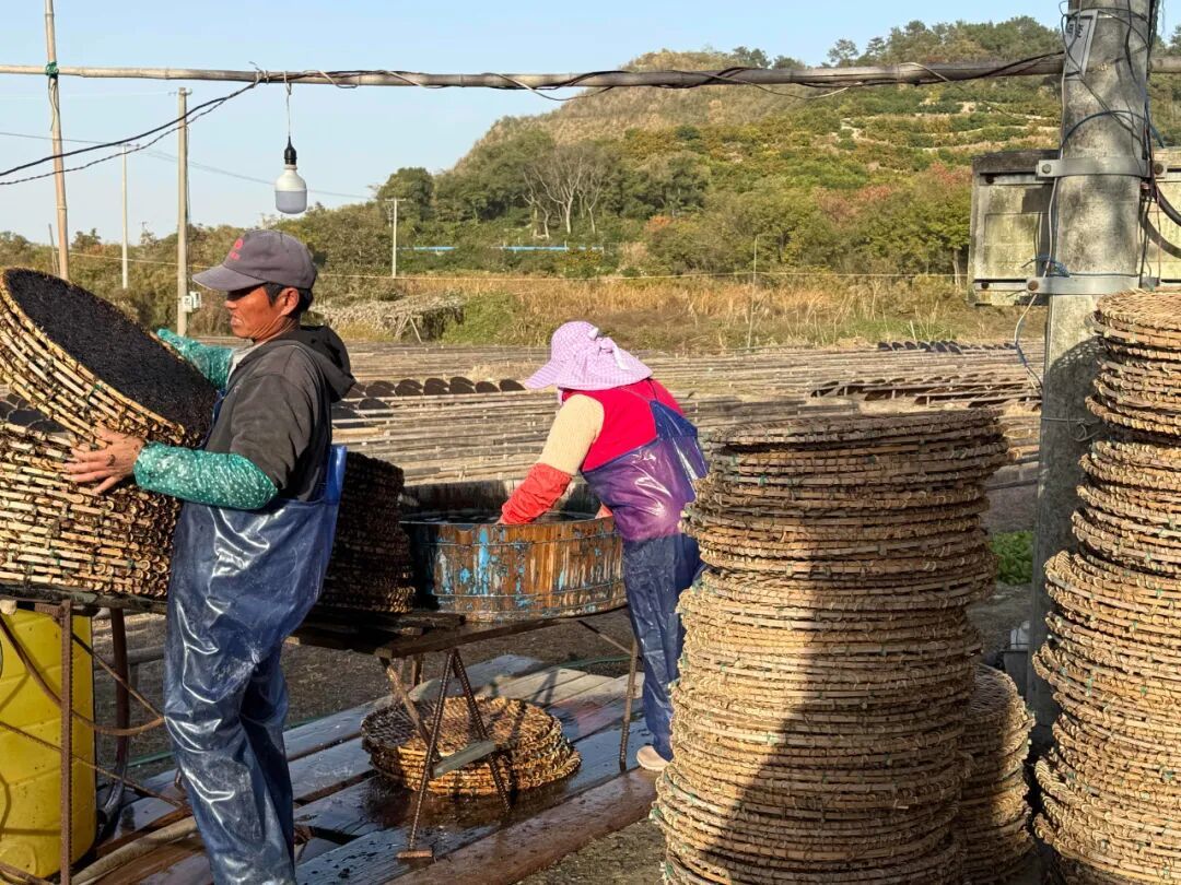象山的温暖，藏在这些镜头里
