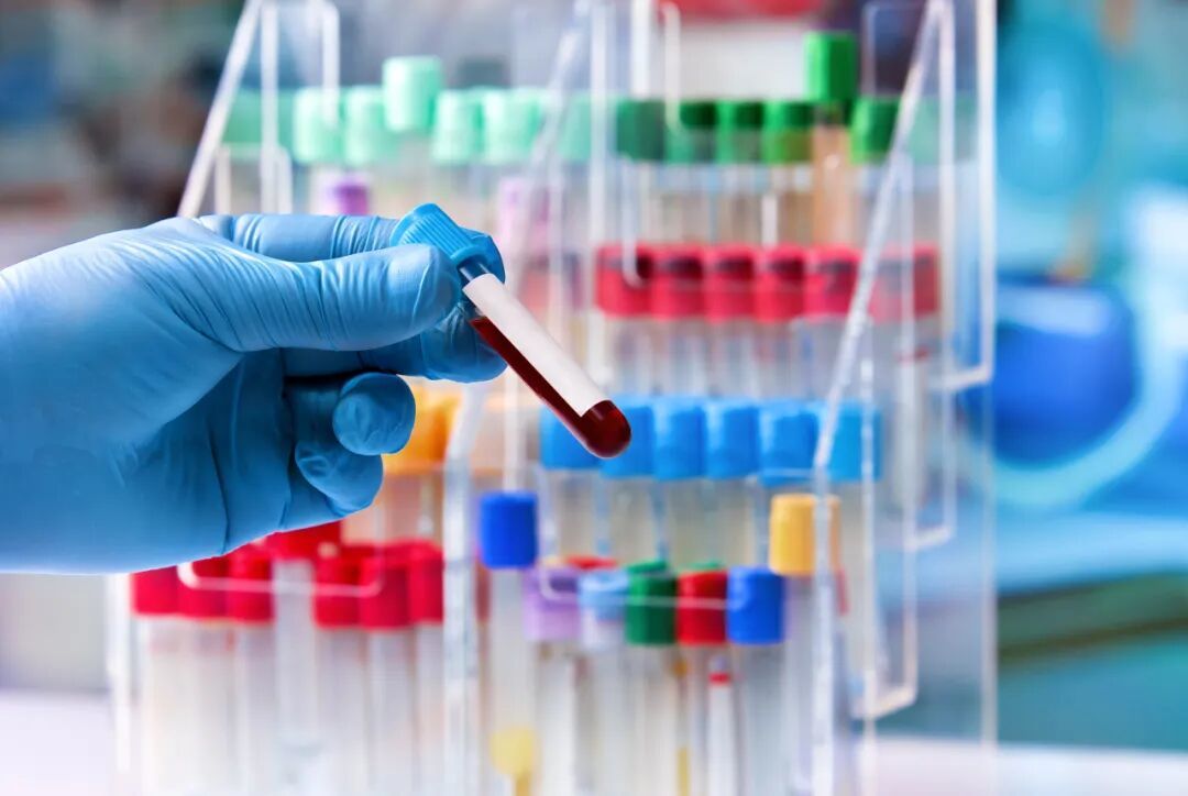 图库版权图片，转载使用可能引发版权纠纷