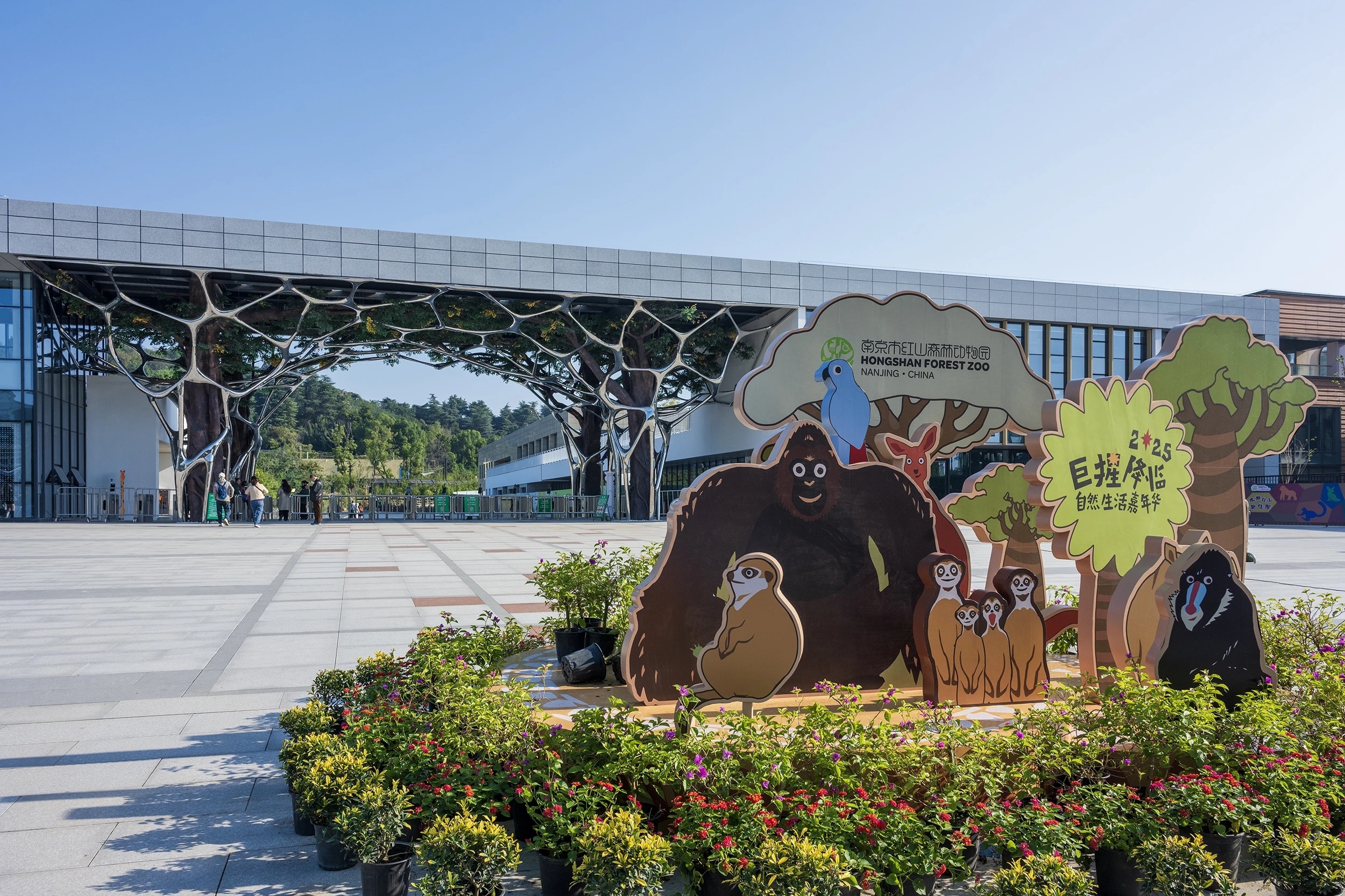 这个冬天来玄武，共赴“环湖冬暖”，玩转“三美探索”