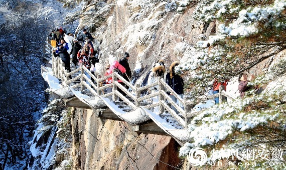 安徽黄山：冬雪美景醉游人