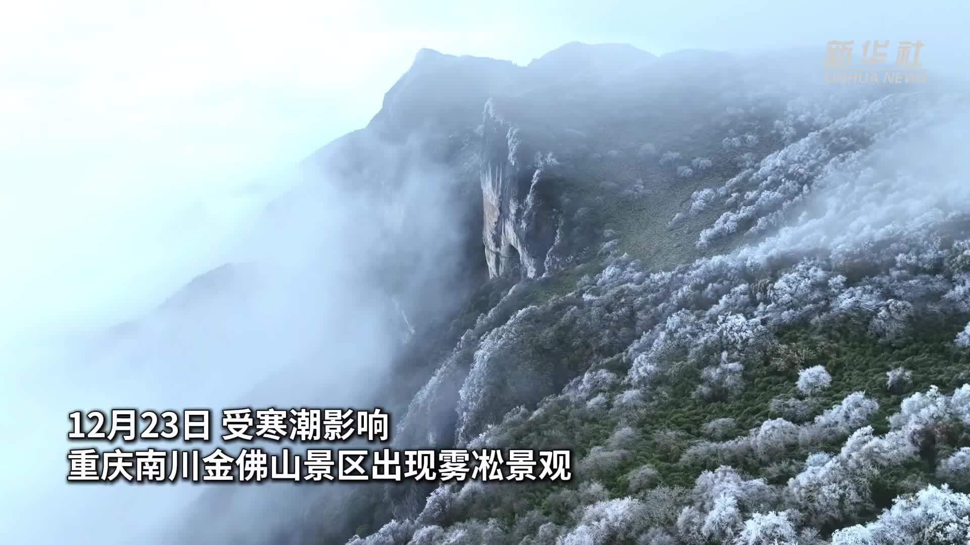 秀我中国｜雾凇“花开”金佛山