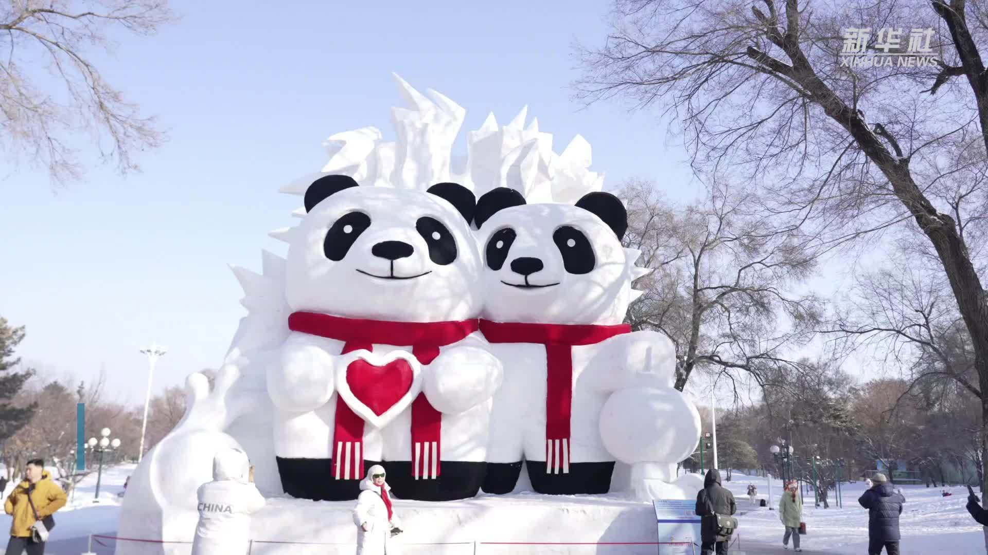 “尔滨”上新！“雪博会”开园 坐标太阳岛
