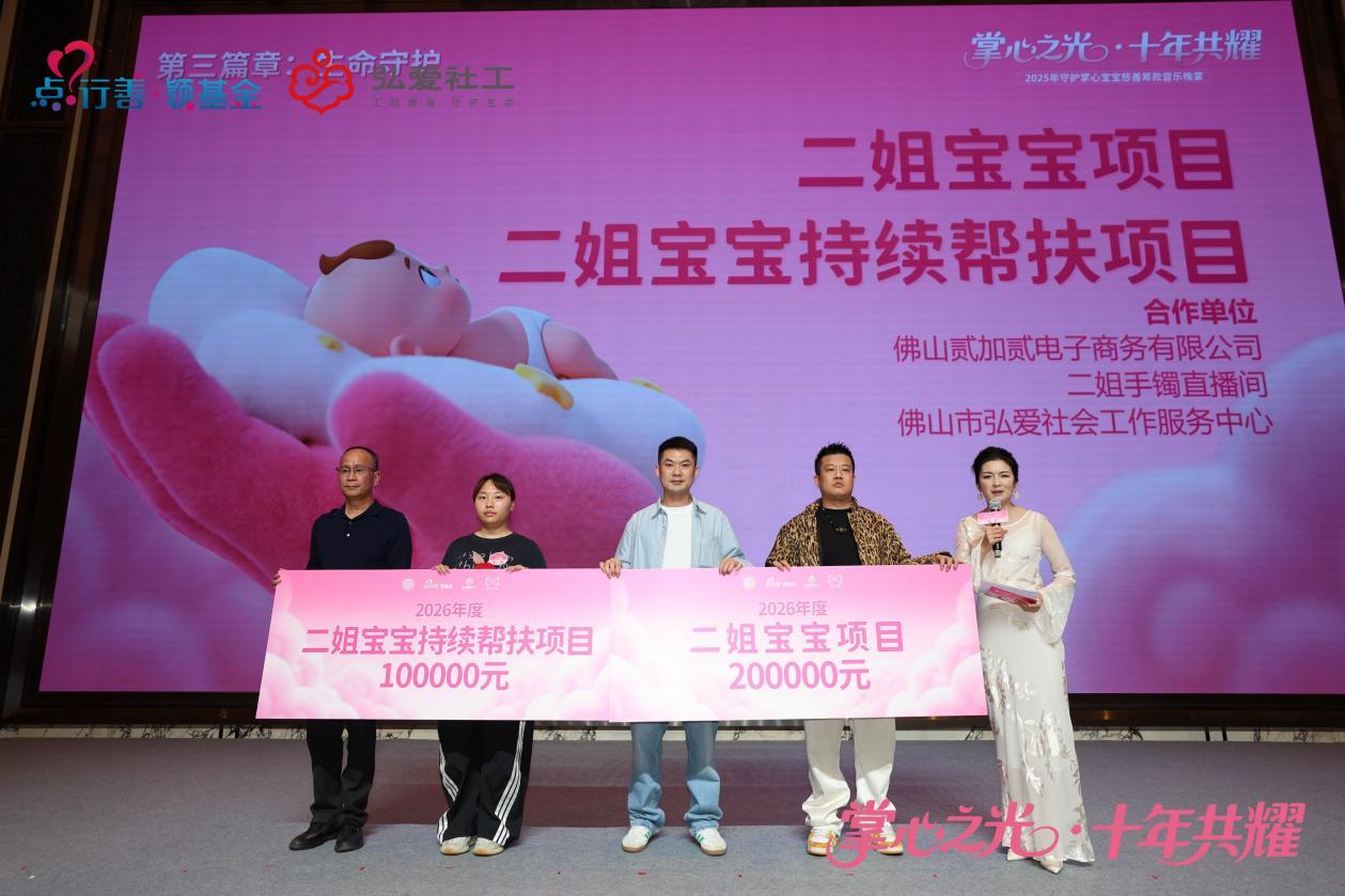 二姐宝宝2026年救助项目、二姐宝宝2026年持续帮扶项目发布