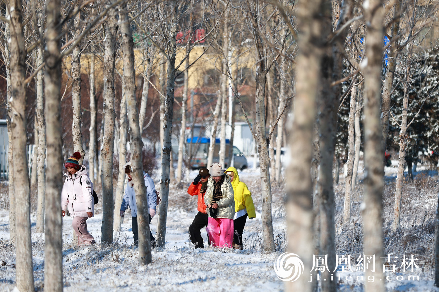 图集丨长春伊通河畔现雾凇奇观